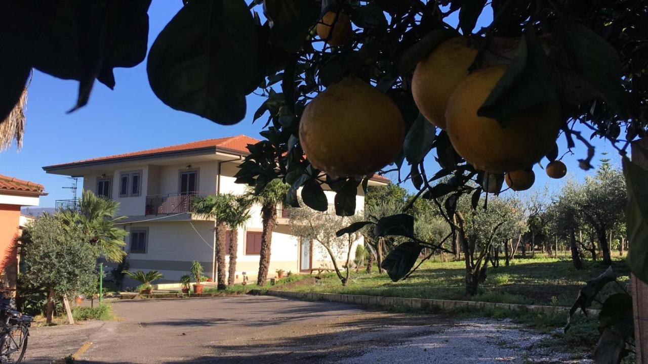 B & B Evergreen Corbara  Dış mekan fotoğraf