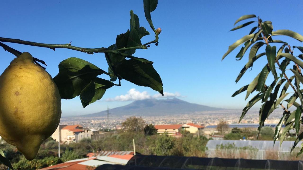 B & B Evergreen Corbara  Dış mekan fotoğraf