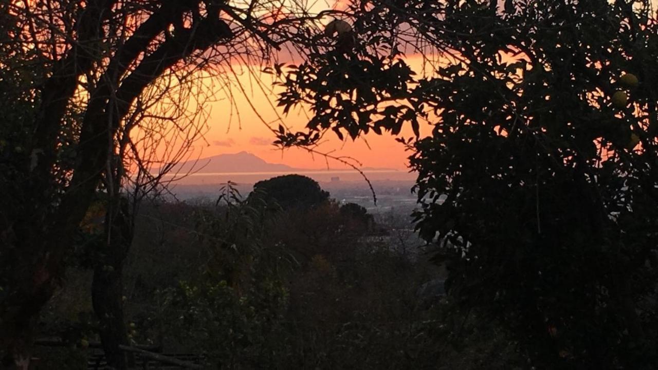 B & B Evergreen Corbara  Dış mekan fotoğraf