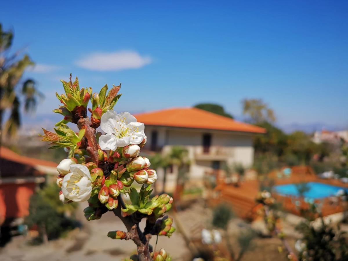 B & B Evergreen Corbara  Dış mekan fotoğraf