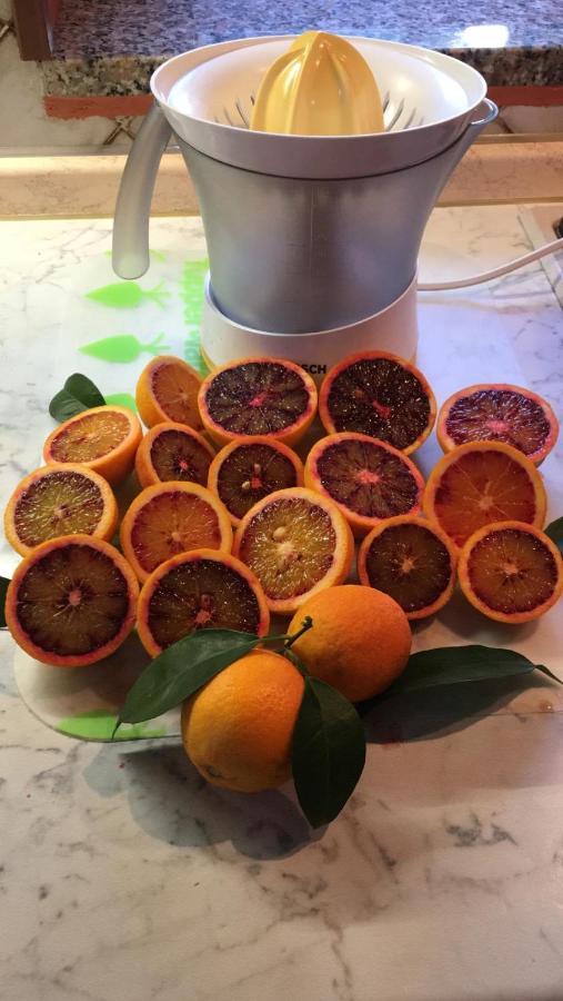 B & B Evergreen Corbara  Dış mekan fotoğraf