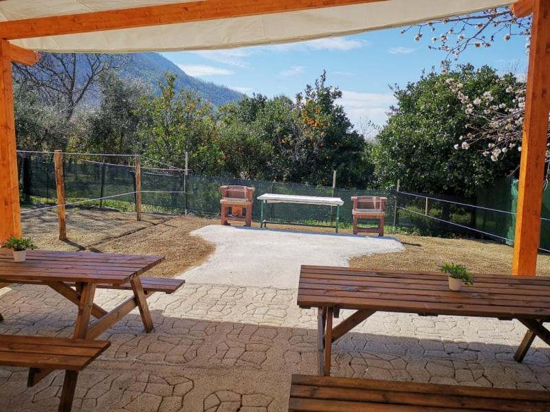 B & B Evergreen Corbara  Dış mekan fotoğraf
