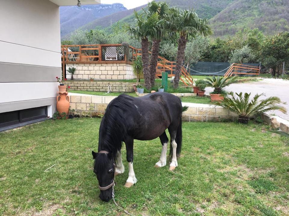 B & B Evergreen Corbara  Dış mekan fotoğraf