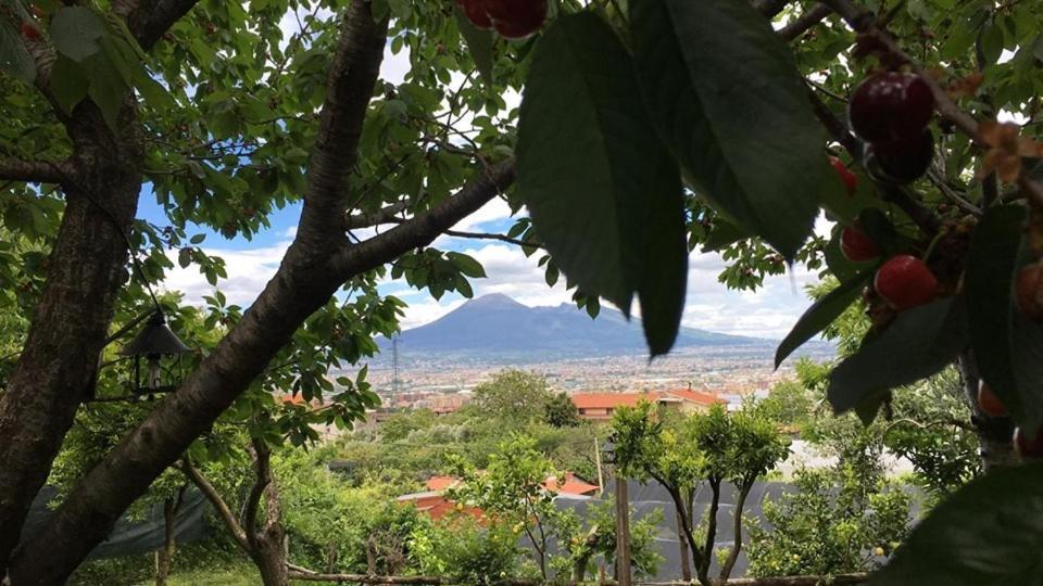 B & B Evergreen Corbara  Dış mekan fotoğraf