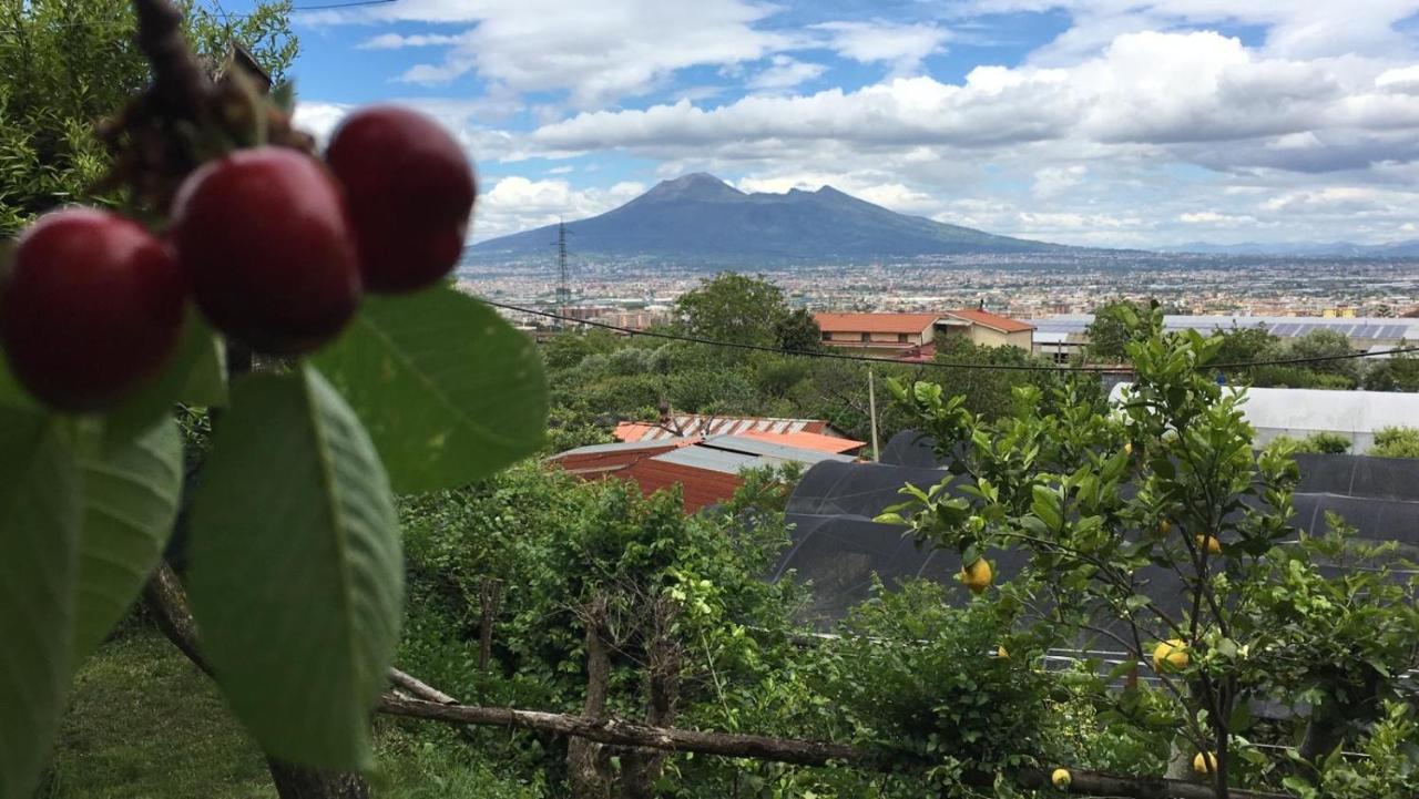 B & B Evergreen Corbara  Dış mekan fotoğraf