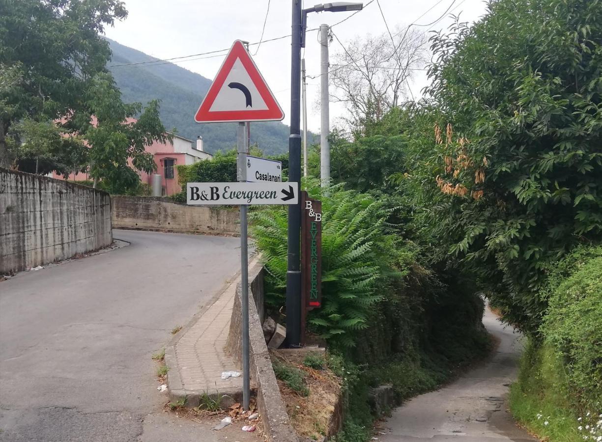 B & B Evergreen Corbara  Dış mekan fotoğraf